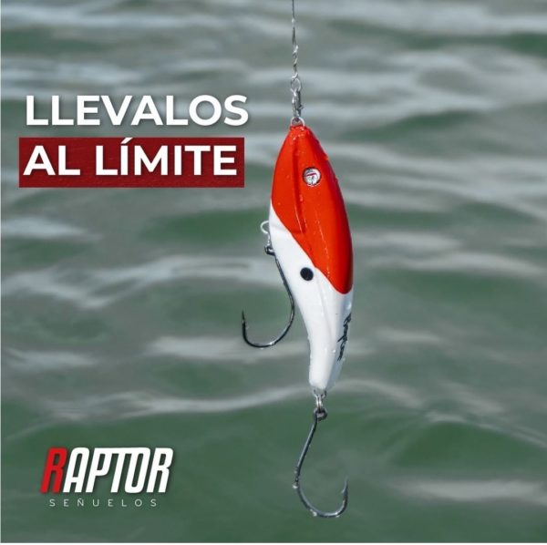 Señuelo Raptor Carona Slider/Gliding, ideal Dorado. - Image 4